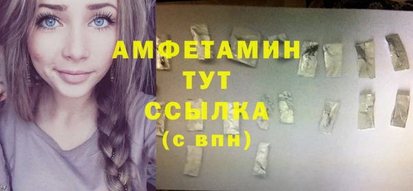 ПСИЛОЦИБИНОВЫЕ ГРИБЫ Новозыбков
