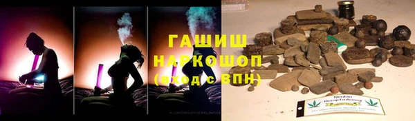 прущие грибы Новокубанск