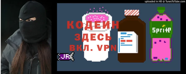 дурь Арсеньев