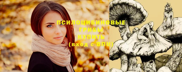 соль курить ск Армянск